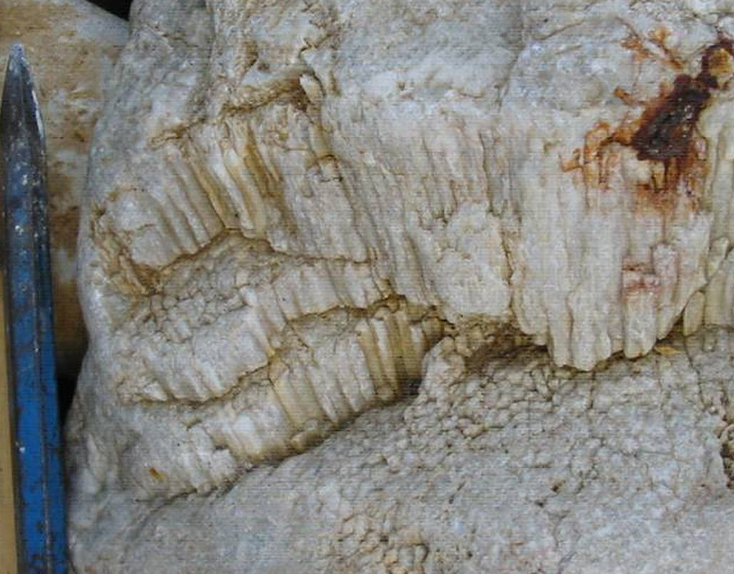 Minerale o fossile